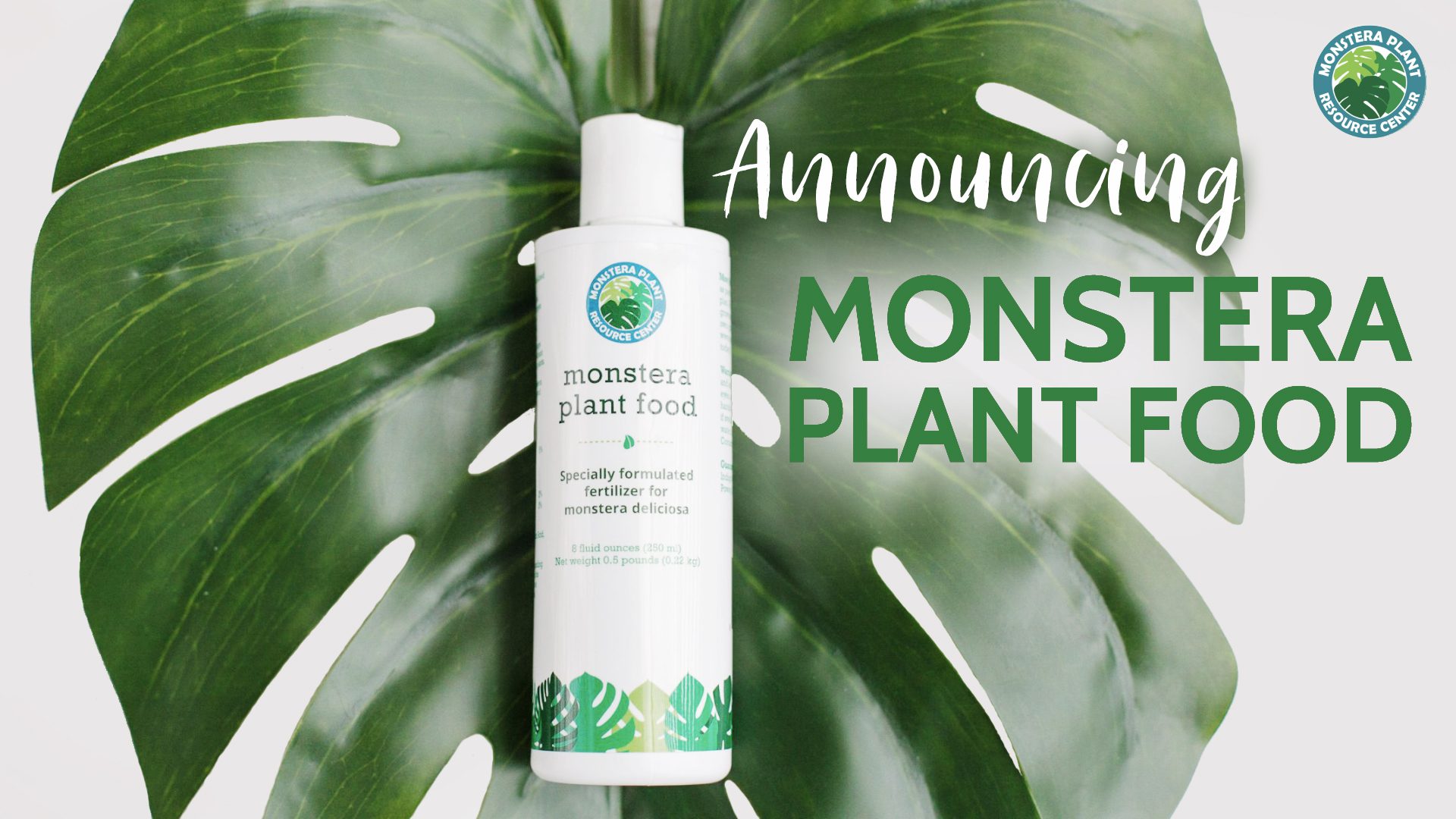 Why Monstera Plant Food is the Perfect Fertilizer for Monsteras