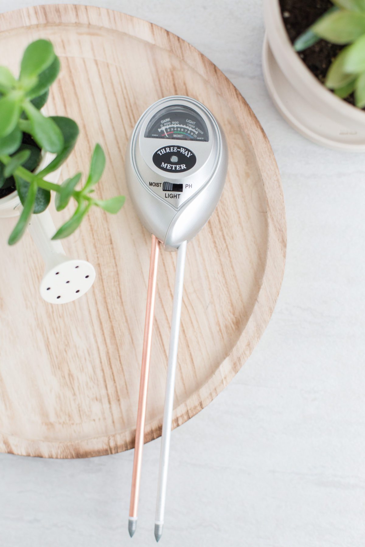 The Best Monstera Moisture Meter How to Use a Moisture Meter to Water