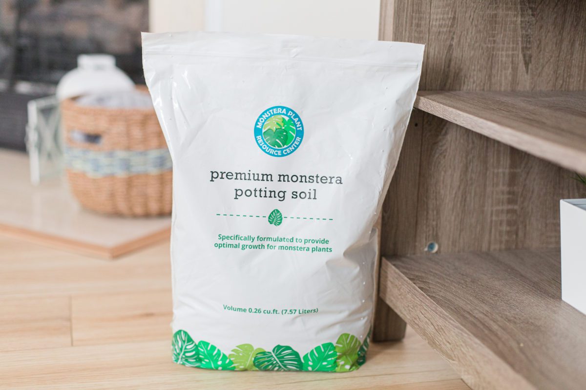 The Best Soil for Monstera Plants Monstera Plant Resource