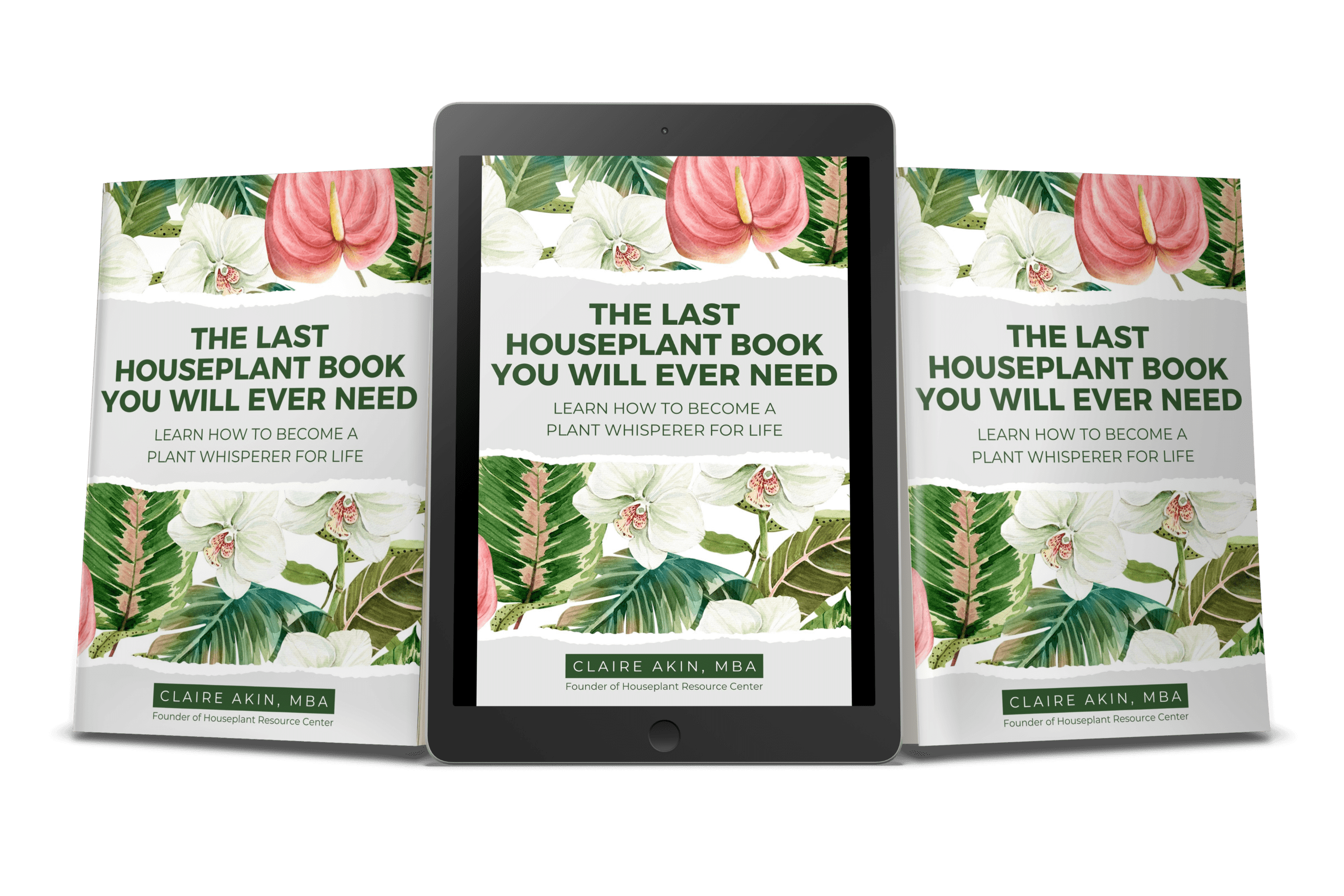 gifts for monstera growers
